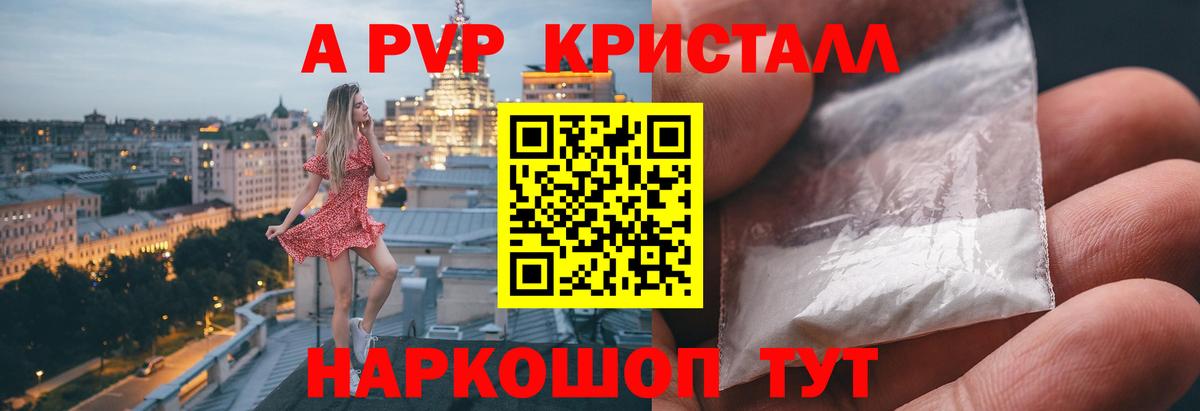 A-PVP СК КРИС Абакан
